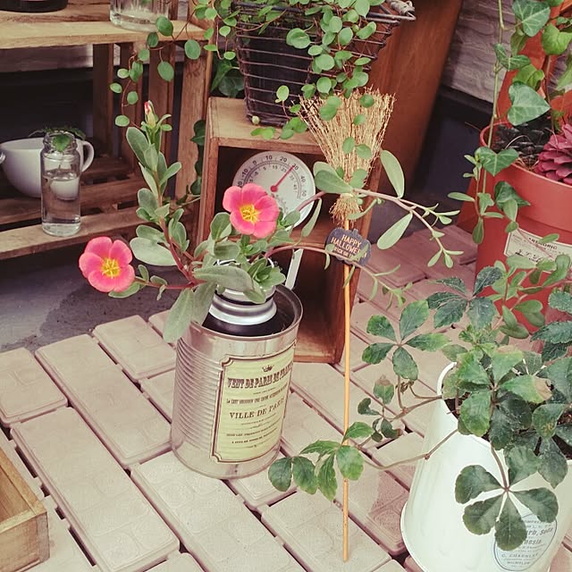 kanaさんの実例写真