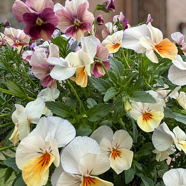 madeleineさんの部屋