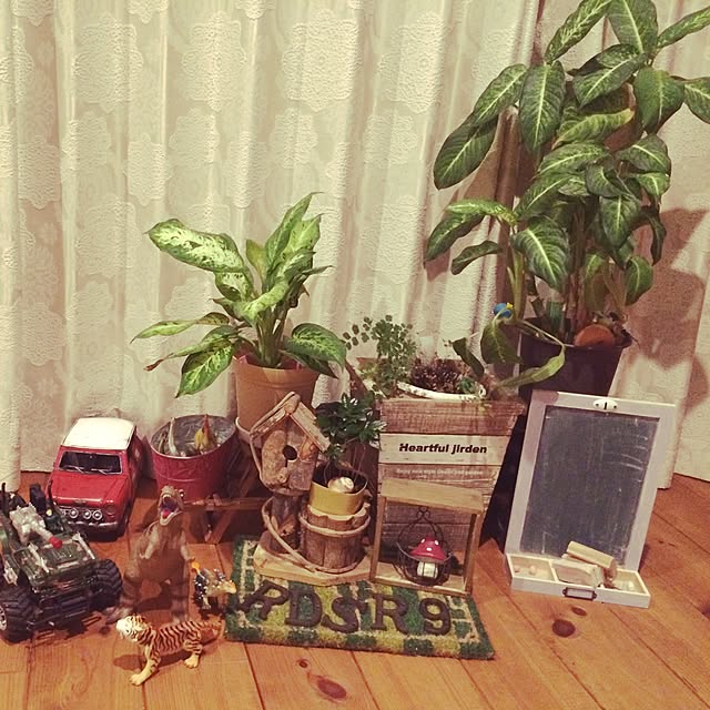 部屋全体/観葉植物のインテリア実例 - 2015-10-01 18:30:45