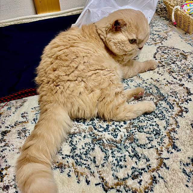naokoさんの部屋