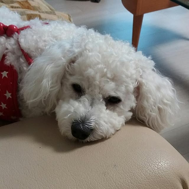 skgus0624さんの実例写真