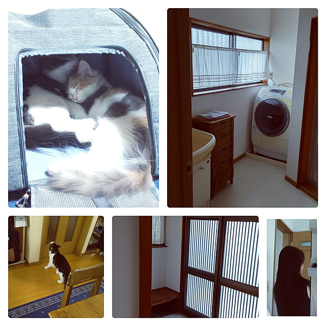 +CHIHARU+さんの実例写真