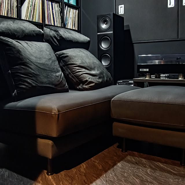 部屋全体/ソファ/オーディオルーム/ホームシアターのある部屋のインテリア実例 - 2025-04-24 09:24:14