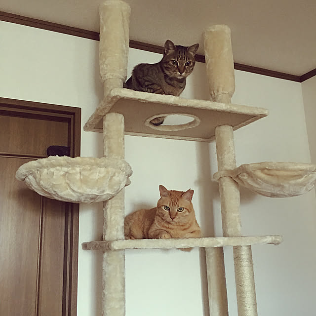 chikaさんの実例写真