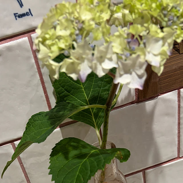 cotaさんの部屋
