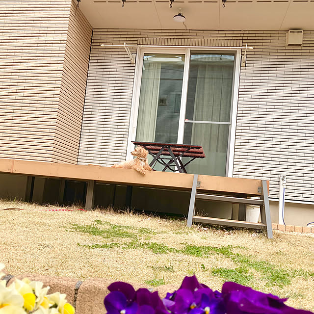 hayunoさんの実例写真