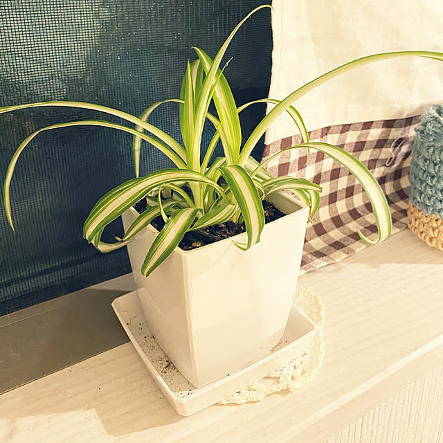Love.Lapinさんの実例写真