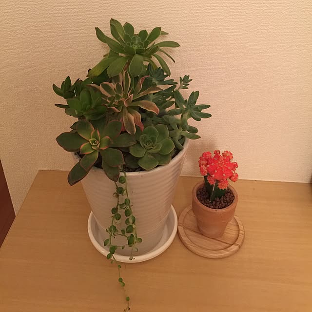junkoさんの実例写真