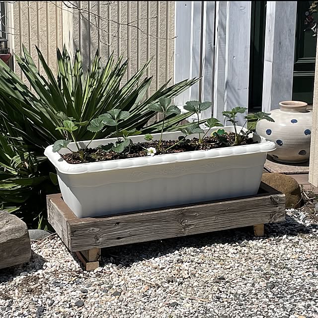 sixflagsさんの実例写真