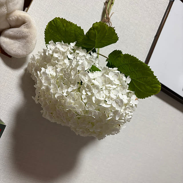 t_n.homeさんの部屋