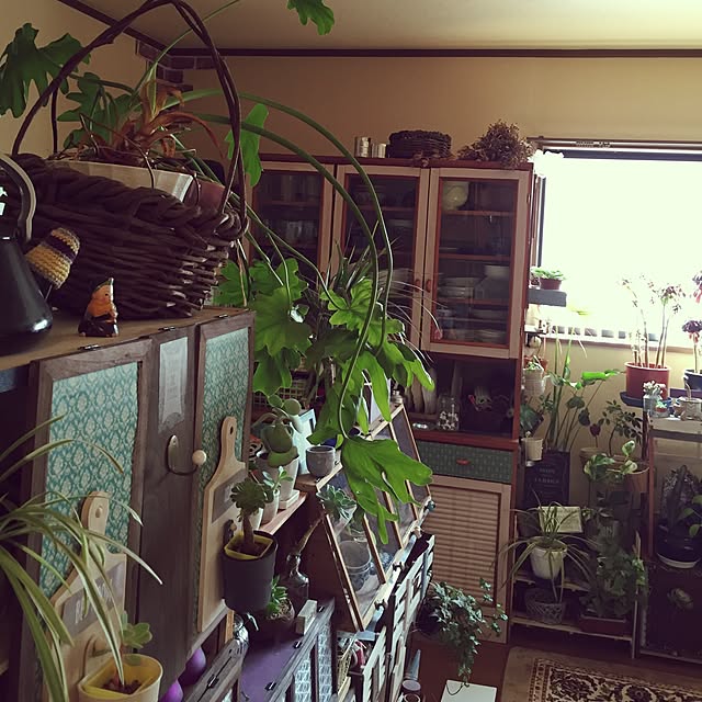 Norikoさんの実例写真