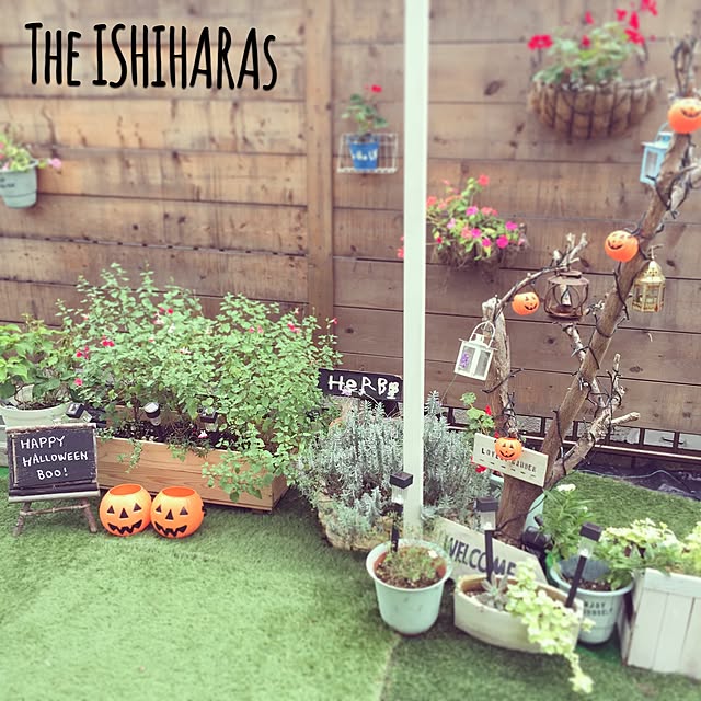 theishiharasさんの実例写真