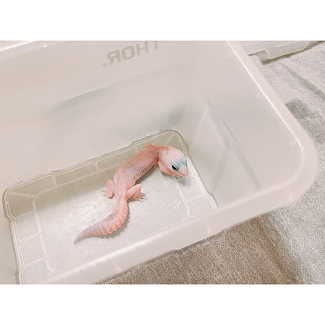 w_end_0625さんの部屋