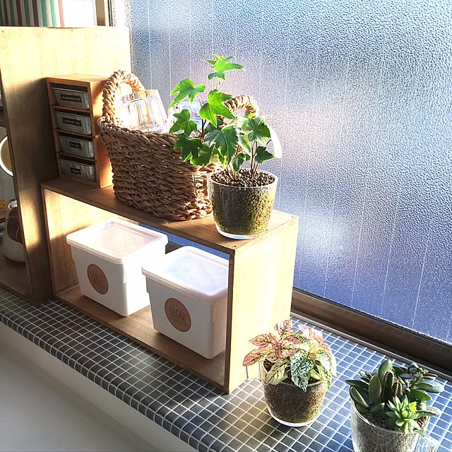 taggさんの実例写真