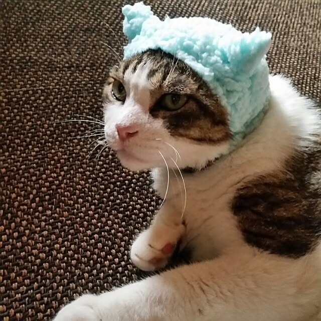 Anmituさんの実例写真