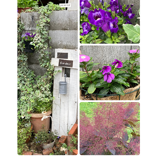 murasaki808さんの実例写真