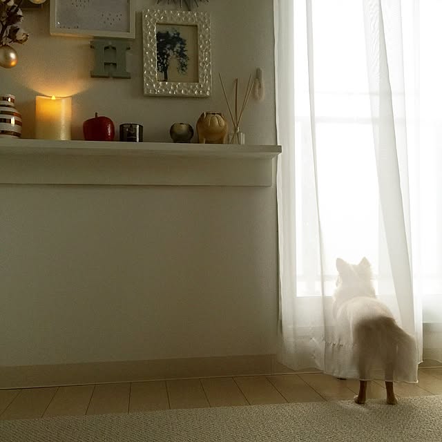 haruhinaさんの実例写真