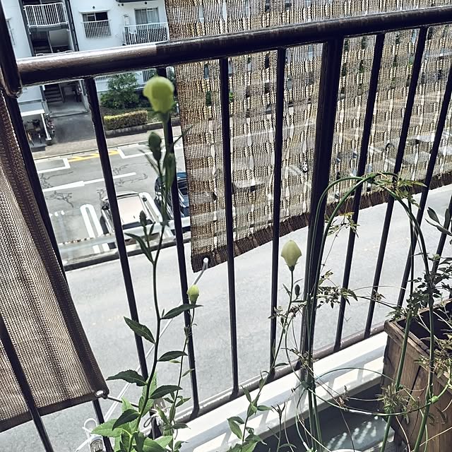 mi-saさんの部屋