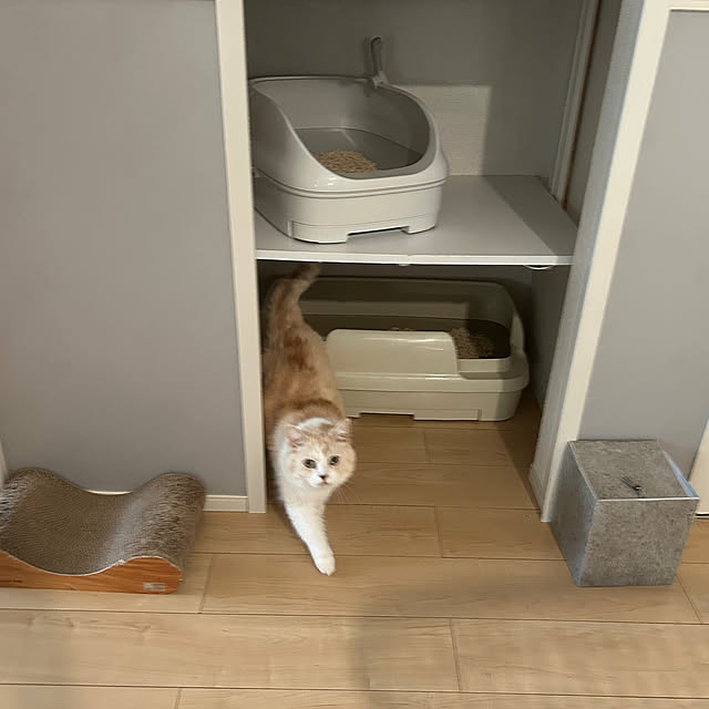 H.Tさんの部屋