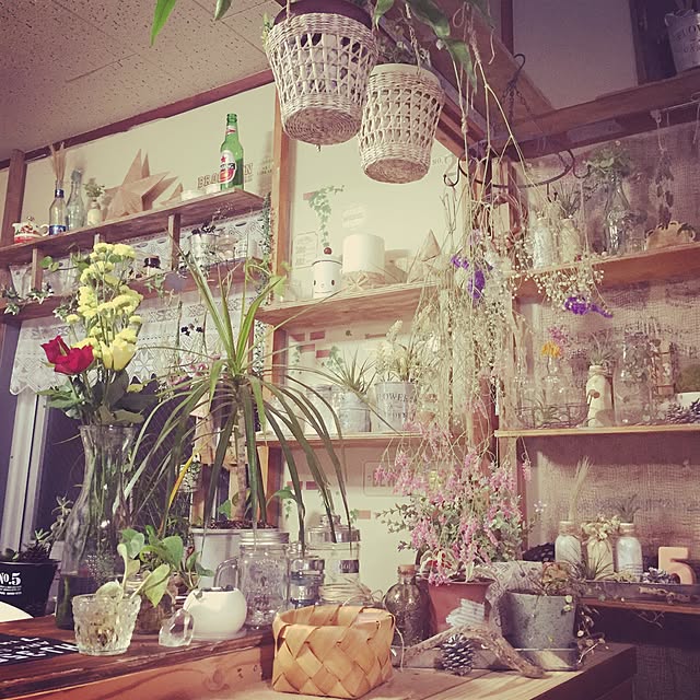 Mariさんの実例写真