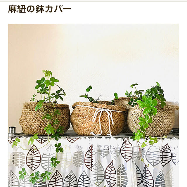 ryomamaさんの実例写真