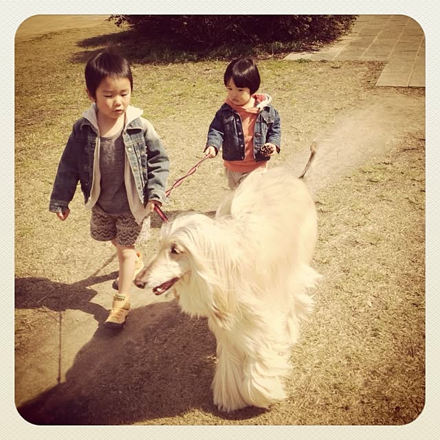 yuily_tさんの実例写真