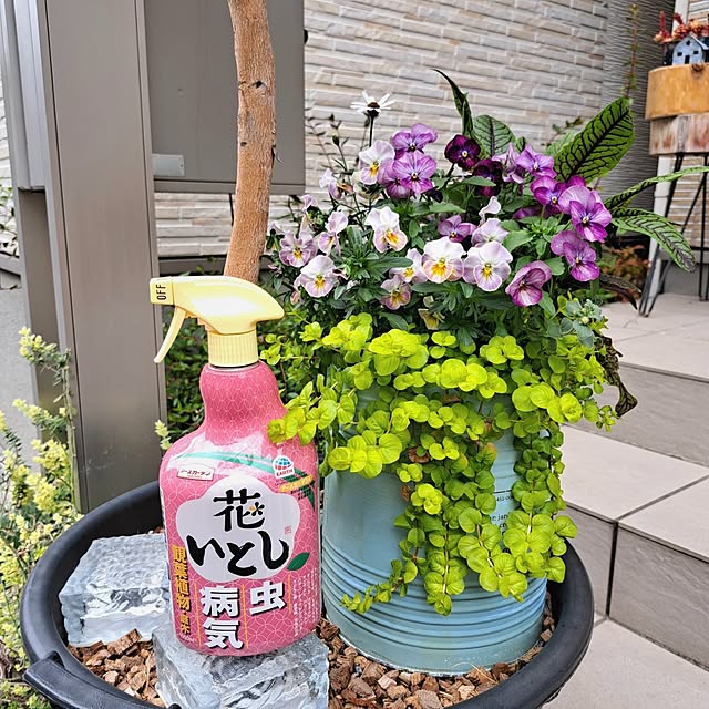 Jijiさんの実例写真
