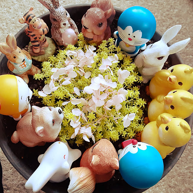 katさんの実例写真