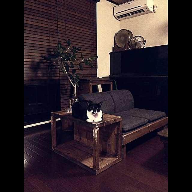 jnkaiさんの実例写真