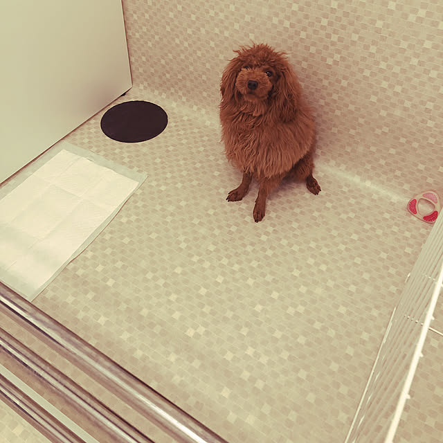KAIさんの実例写真