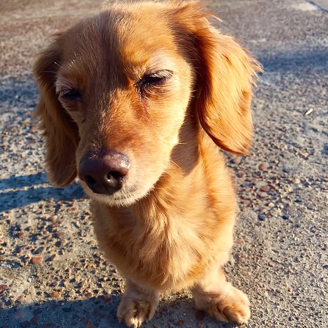sakuさんの実例写真