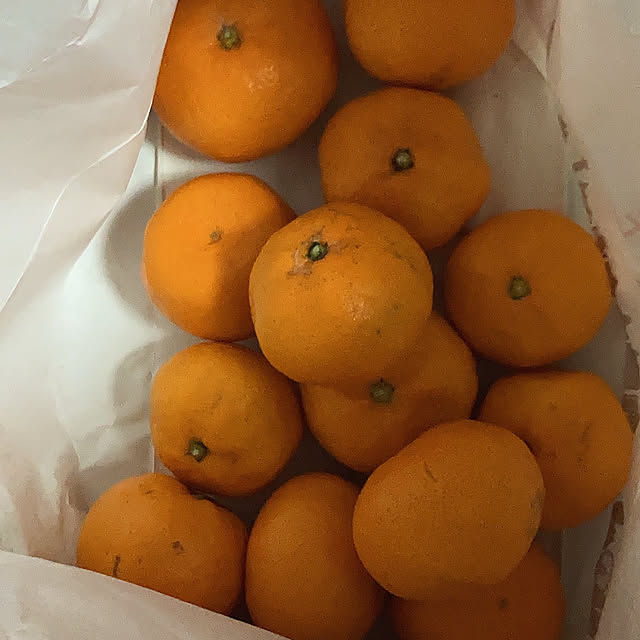 manduonmaさんの実例写真