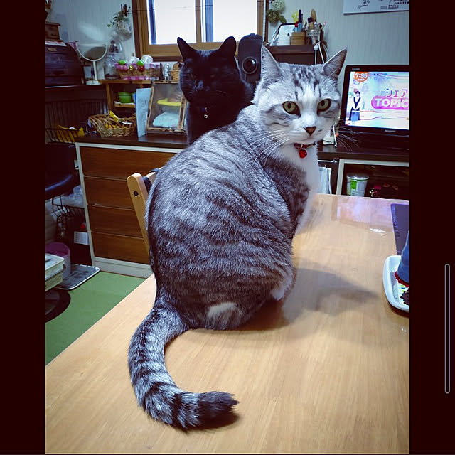mntcさんの実例写真