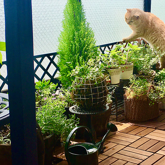naokoさんの実例写真