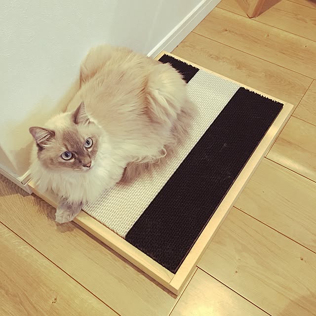 32さんの実例写真