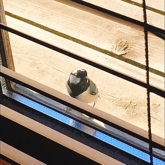 Nagakoさんの実例写真