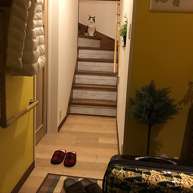 masakoさんの実例写真