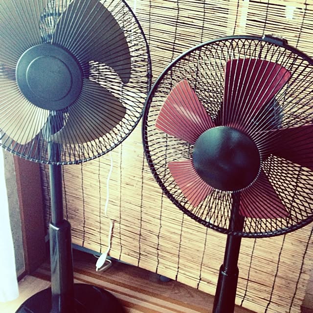 AnnCoさんの実例写真