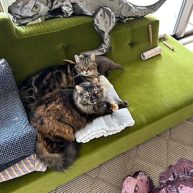 mikomaruさんの部屋