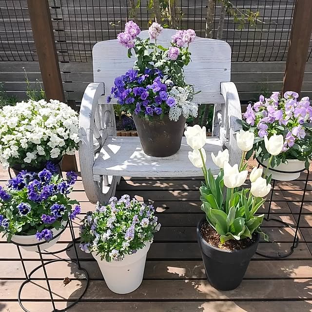 ryomomさんの部屋