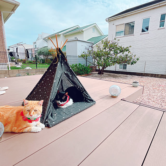 moolさんの部屋