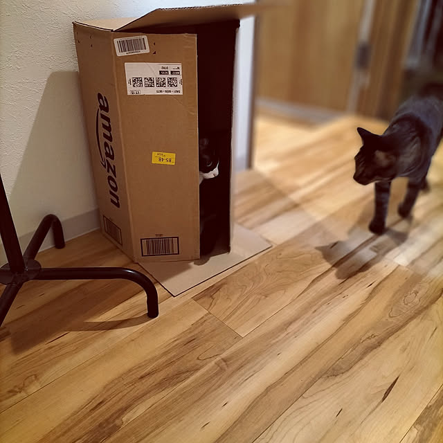 hihaさんの実例写真