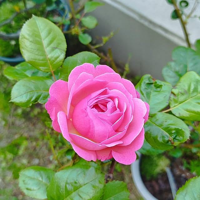 hiromimiさんの部屋