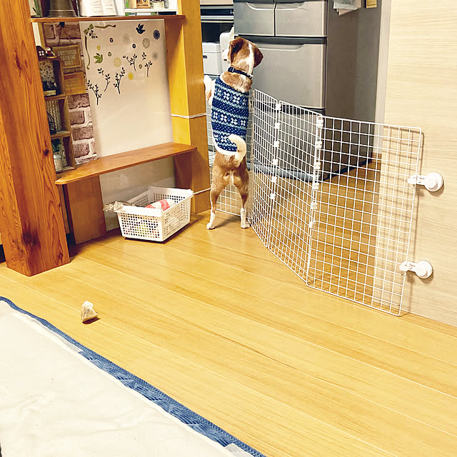 goro_wanさんの実例写真