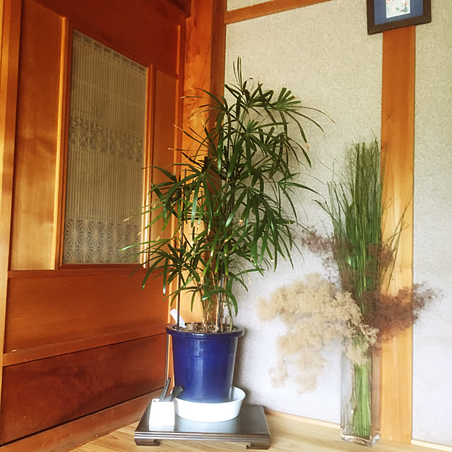 miho.ymmt1110さんの実例写真