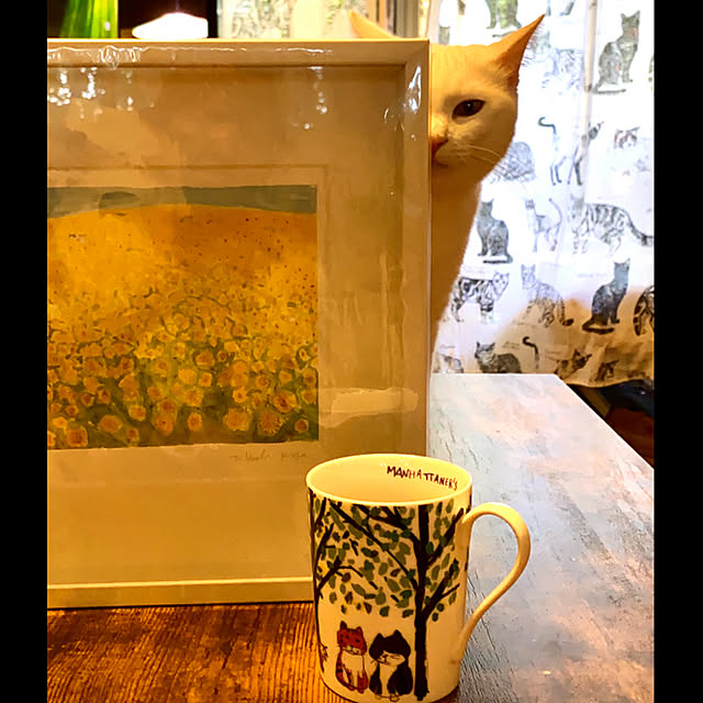 butachanさんの実例写真
