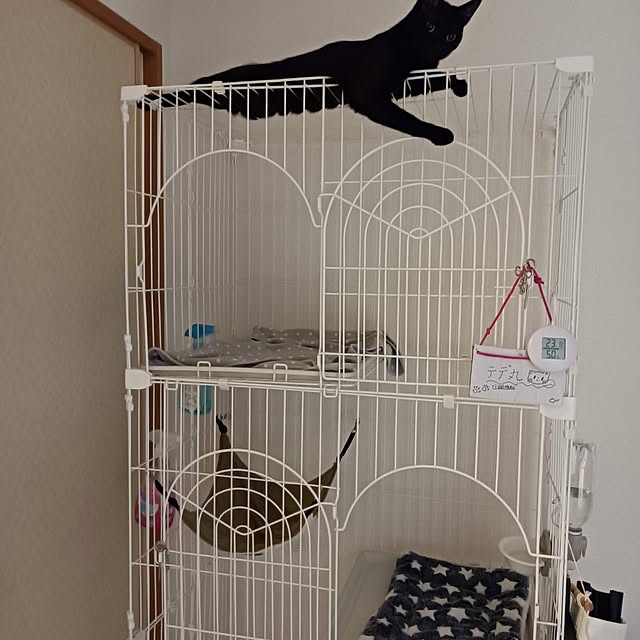 anayoikoさんの部屋