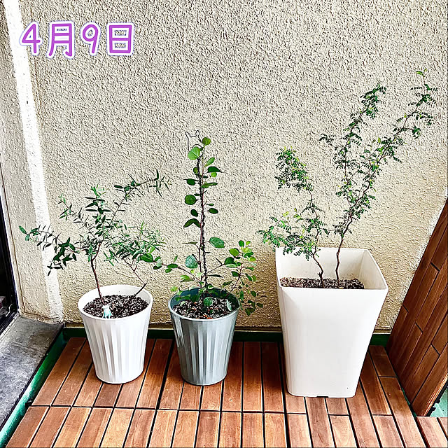 kagomamaさんの部屋