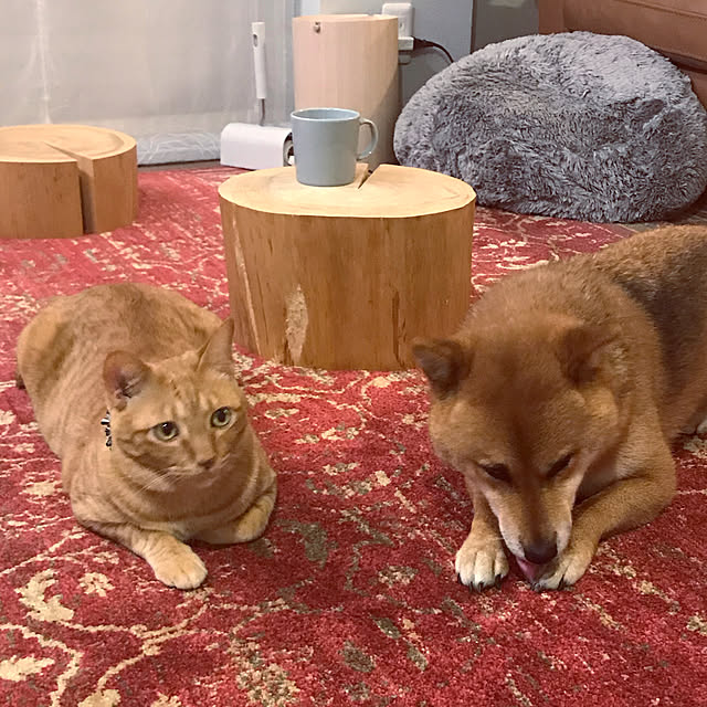 mtkさんの実例写真