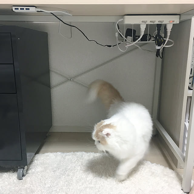 tam412さんの実例写真